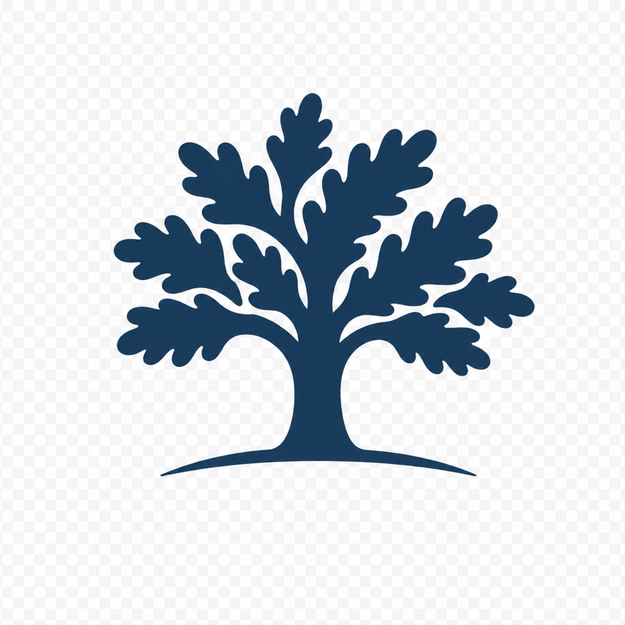 Blue Oak Web Design